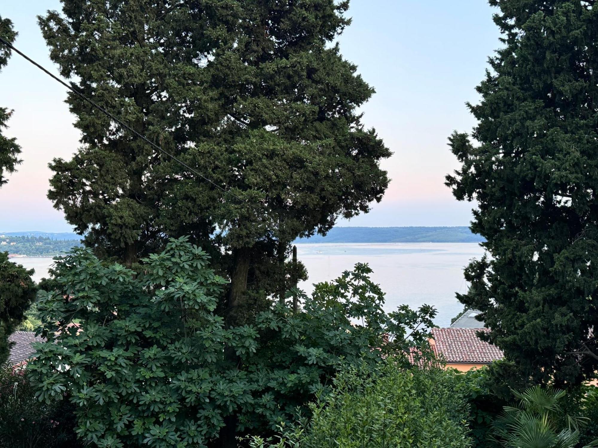 Marinaio Leilighet Portorož Eksteriør bilde